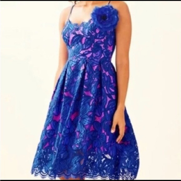 NWT Lilly Pulitzer Camella Orchid Lace A Line Dress - Picture 12 of 12